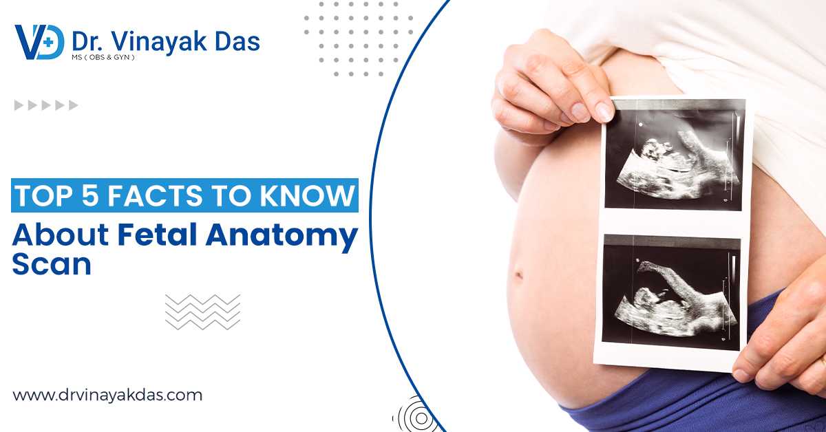 Top 5 Facts To Know About Fetal Anatomy Scan